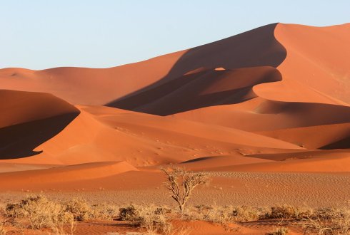 foto woestijn